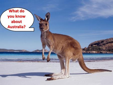What do you know about Australia?. Today’s Standard SS6G12 The student will be able to locate selected features of Australia.