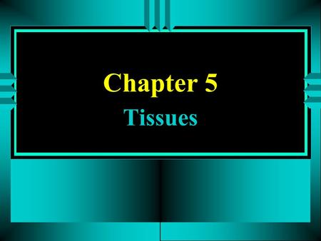 Chapter 5 Tissues. 5 - 2 u Introduction: Tissues u A.Groups of cells are arranged in tissues that provide specific functions for the body.  B. Also contain.