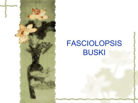 FASCIOLOPSIS BUSKI.