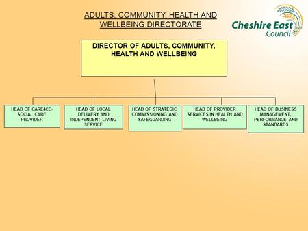 ADULTS, COMMUNITY, HEALTH AND WELLBEING DIRECTORATE DIRECTOR OF ADULTS, COMMUNITY, HEALTH AND WELLBEING HEAD OF CARE4CE- SOCIAL CARE PROVIDER HEAD OF LOCAL.