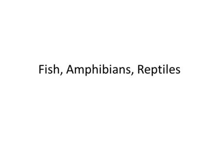 Fish, Amphibians, Reptiles