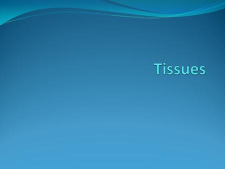 Body Tissues Tissues Groups of cells with similar structure and function Four primary types Epithelial tissue (epithelium) Connective tissue Muscle tissue.