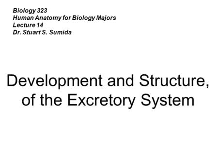 Development and Structure, of the Excretory System