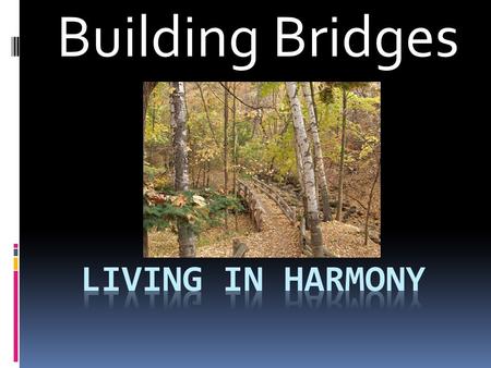 Building Bridges Today’s Questions  1. What books of the bible are we learning from today?  2. What did one brother want the carpenter to build and.