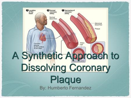 A Synthetic Approach to Dissolving Coronary Plaque By: Humberto Fernandez.