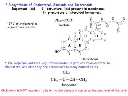 * Biosynthesis of Cholesterol, Steroids and Isoprenoids