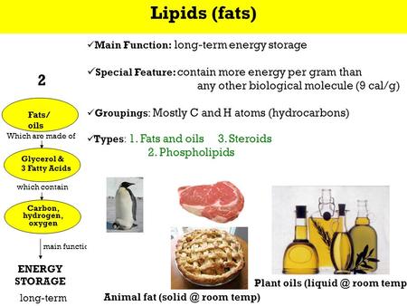 Which are made of which contain Which are made of which contain CarbohydratesFats/ oils Nucleic acids (e.g., DNA/RNA) Proteins Simple sugars (e.g., glucose)
