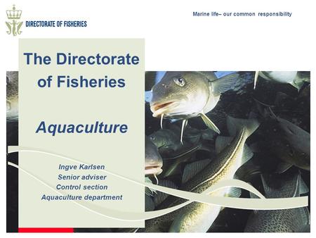 The Directorate of Fisheries Aquaculture Ingve Karlsen Senior adviser Control section Aquaculture department.