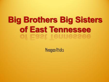 Meagan Ricks. Big Brothers Big Sisters Mission “The mission of Big Brothers Big Sisters of East Tennessee is to make a positive difference in the lives.