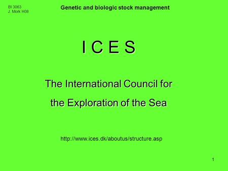 1 BI 3063 J. Mork H08 Genetic and biologic stock management I C E S The International Council for the Exploration of the Sea