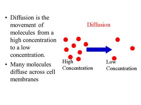 Diffusion is the movement of molecules from a high concentration to a low concentration. Many molecules diffuse across cell membranes.