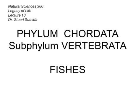 Natural Sciences 360 Legacy of Life Lecture 10 Dr. Stuart Sumida PHYLUM CHORDATA Subphylum VERTEBRATA FISHES.