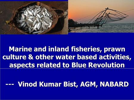 Marine and inland fisheries, prawn culture & other water based activities, aspects related to Blue Revolution --- Vinod Kumar Bist, AGM, NABARD.