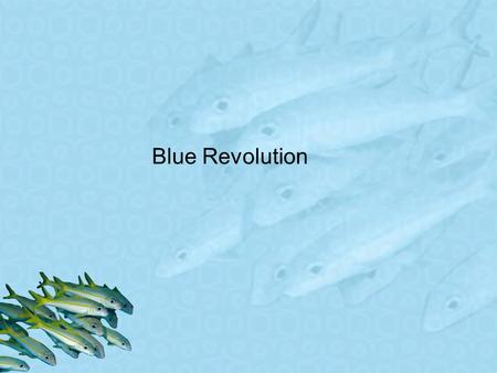 Blue Revolution. Introduction since 1950, there has been a 100 percent increase in demand of fish world consumption of aquatic proteins is predicted to.