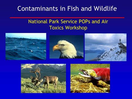 Contaminants in Fish and Wildlife National Park Service POPs and Air Toxics Workshop.