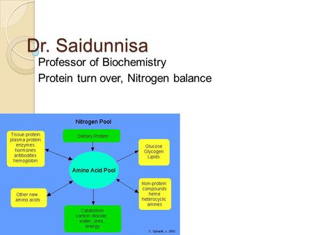 Professor of Biochemistry Protein turn over, Nitrogen balance