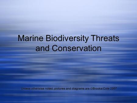 Marine Biodiversity Threats and Conservation