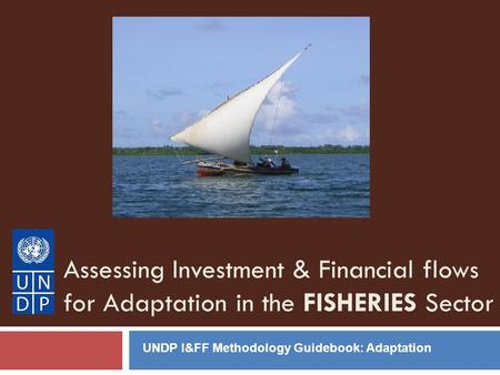 Assessing Investment & Financial flows for Adaptation in the FISHERIES Sector UNDP I&FF Methodology Guidebook: Adaptation.