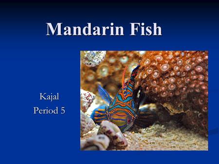 Mandarin Fish Kajal Period 5. Mandarin fish is also known as: Mandarin Dragonet. Mandarin Dragonet. Green mandarin. Green mandarin. Green Dragonet Green.