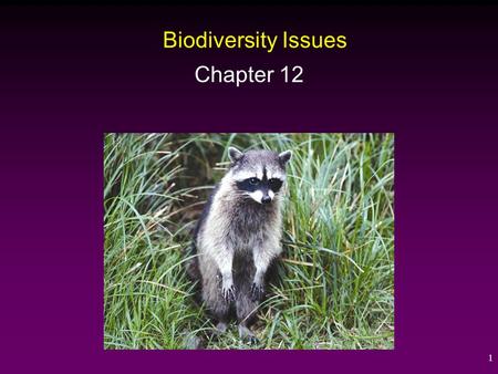 Biodiversity Issues Chapter 12.