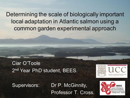 Determining the scale of biologically important local adaptation in Atlantic salmon using a common garden experimental approach Ciar O’Toole 2 nd Year.