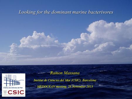 Ramon Massana Institut de Ciències del Mar (CSIC), Barcelona MEDOCEAN meeting, 28 November 2013 Looking for the dominant marine bacterivores.