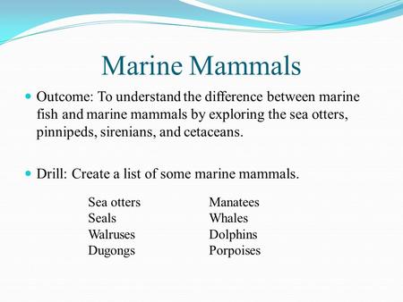 Marine Mammals Outcome: To understand the difference between marine fish and marine mammals by exploring the sea otters, pinnipeds, sirenians, and cetaceans.
