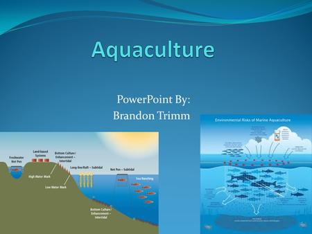 PowerPoint By: Brandon Trimm. Aquaculture Also called Aquafarming, aquaculture is the growing and harvesting of marine species in a controlled marine.