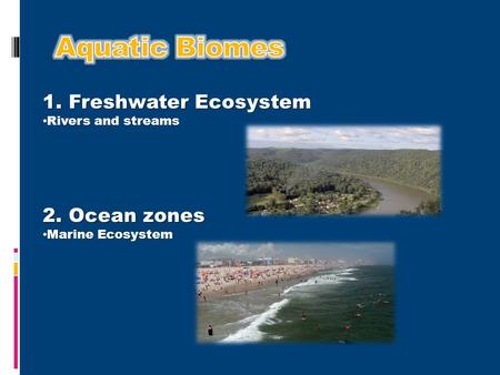 1. Freshwater Ecosystem Rivers and streams Rivers and streams 2. Ocean zones Marine Ecosystem Marine Ecosystem.