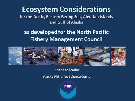 Ecosystem Considerations for the Arctic, Eastern Bering Sea, Aleutian Islands and Gulf of Alaska as developed for the North Pacific Fishery Management.
