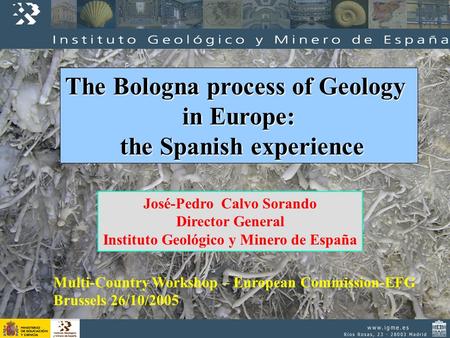 The Bologna process of Geology in Europe: the Spanish experience the Spanish experience José-Pedro Calvo Sorando Director General Instituto Geológico y.