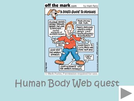 Human Body Web quest.