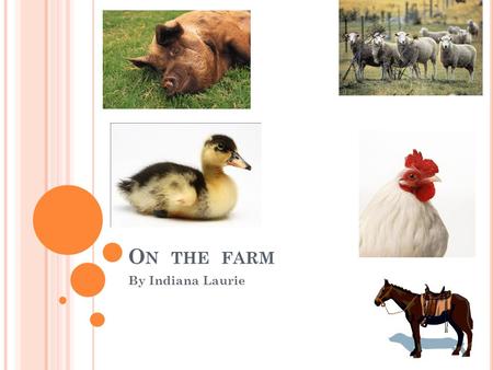 O N THE FARM By Indiana Laurie. A NIMALS ON A FARM Horse Cow Pig Sheep Dog Hen Cat Bull Duck Rabbit.