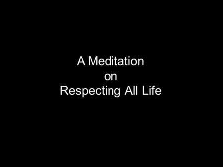 A Meditation on Respecting All Life. As Catholics we reverence the Gift of Life in a special way in our call to always RESPECT LIFE.