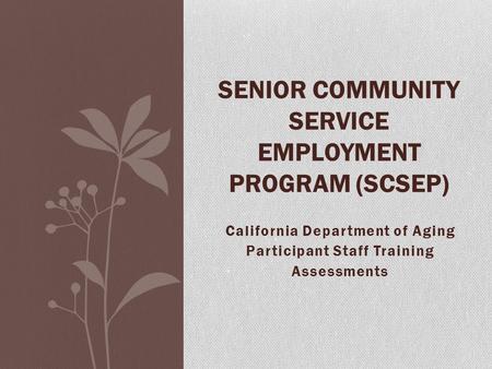 California Department of Aging Participant Staff Training Assessments SENIOR COMMUNITY SERVICE EMPLOYMENT PROGRAM (SCSEP)