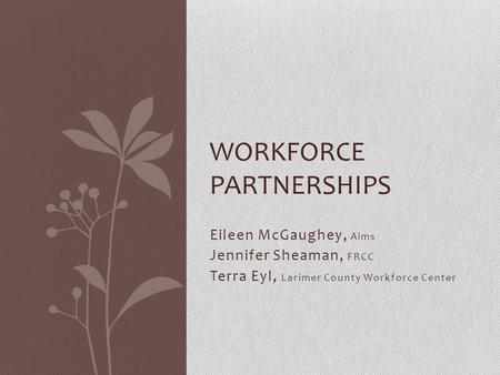 Eileen McGaughey, Aims Jennifer Sheaman, FRCC Terra Eyl, Larimer County Workforce Center WORKFORCE PARTNERSHIPS.