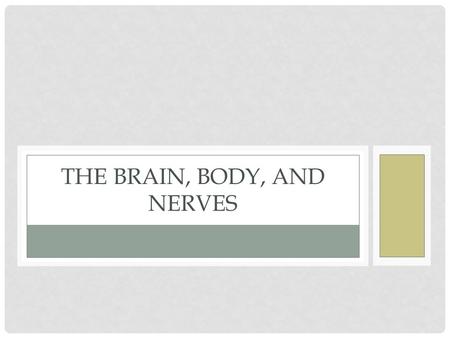 THE BRAIN, BODY, AND NERVES. NERVOUS SYSTEM Central Nervous system (brain and spinal cord) Peripheral Nervous System (Everything else) PNS branches out.