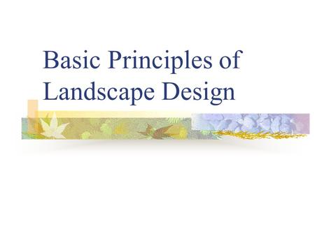 Basic Principles of Landscape Design