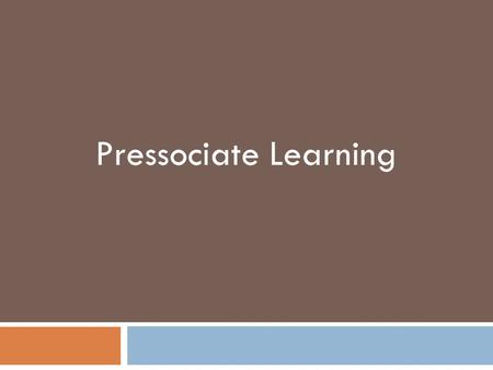 Pressociate Learning. Content 1.Focus of research and interview 2.Basic company information 3.Cultural Differences in  marketing strategies  customer.