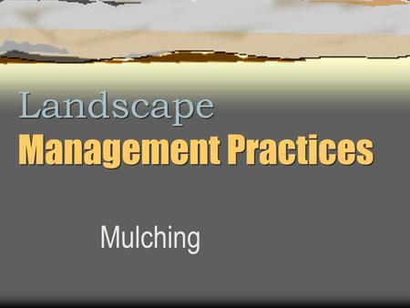 Landscape Management Practices Mulching. Mulch (A tree’s best friend)  Insulates soil  Retains moisture  Keeps weeds out  Prevents soil compaction.