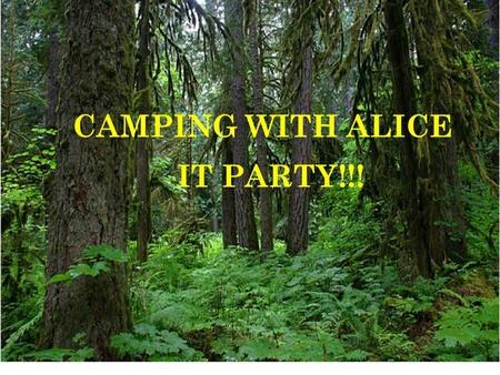 CAMPING WITH ALICE IT PARTY!!!. Bonita Adams – Springfield High School – Camp Questions Jane Nawrocki – Springfield.