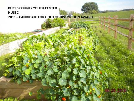 BUCKS COUNTY YOUTH CENTER HUSSC 2011 – CANDIDATE FOR GOLD OF DISTINCTION AWARD.
