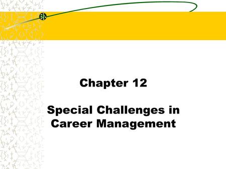 Chapter 12 Special Challenges in Career Management.
