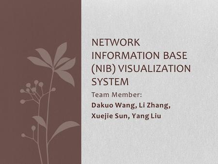 Team Member: Dakuo Wang, Li Zhang, Xuejie Sun, Yang Liu NETWORK INFORMATION BASE (NIB) VISUALIZATION SYSTEM.