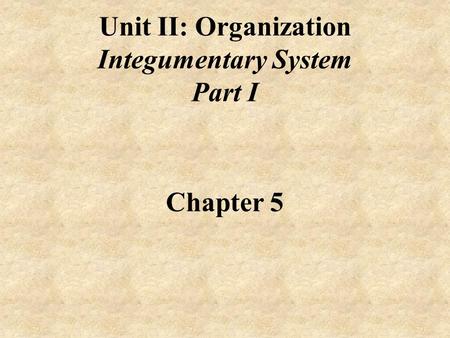 Unit II: Organization Integumentary System Part I Chapter 5.