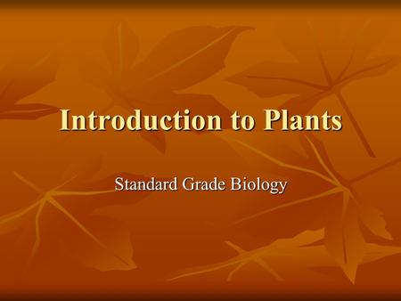 Introduction to Plants Standard Grade Biology. Reproduces sexually Larch cone containing seeds Larch.