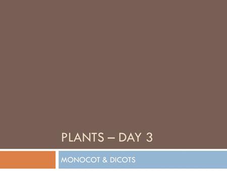 PLANTS – DAY 3 MONOCOT & DICOTS.