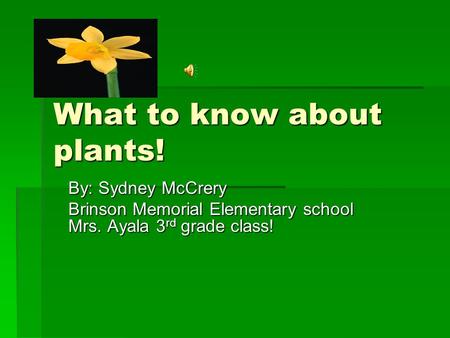What to know about plants! By: Sydney McCrery Brinson Memorial Elementary school Mrs. Ayala 3 rd grade class!