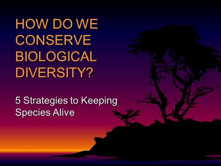 HOW DO WE CONSERVE BIOLOGICAL DIVERSITY? 5 Strategies to Keeping Species Alive.