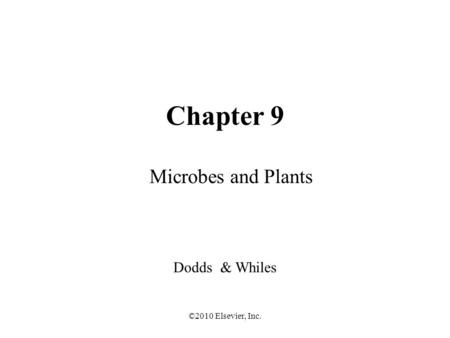 ©2010 Elsevier, Inc. Chapter 9 Microbes and Plants Dodds & Whiles.